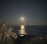 月夜の光が映える海
