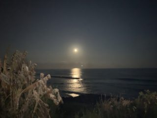 月夜の光が映える海